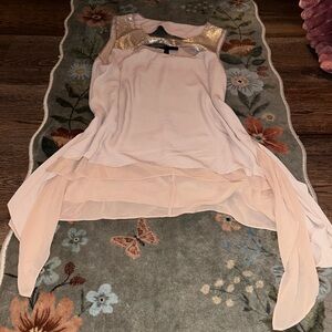 BCBGMaxAzria Blush Top with Silver Sequins